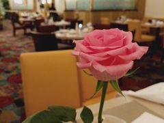 -上海花园饭店