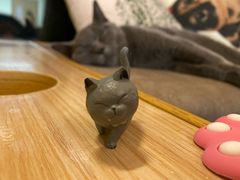 -猫和宫(六道口店)