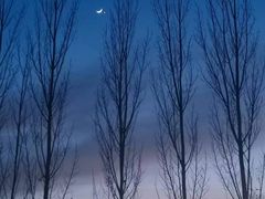 -盛江山自助料理(奥莱锦辉购物广场店)