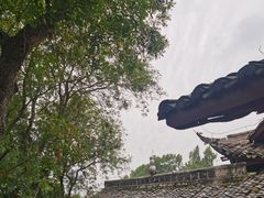 -子昂故里文化旅游区