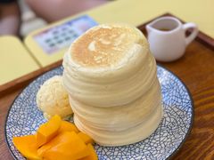 -王守财小山園