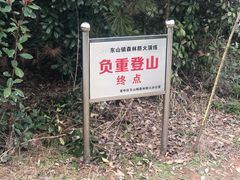 -雨花胜境