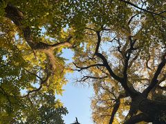 -青岛崂山太清宫