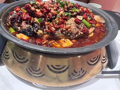 -锦尚阁烤鱼(望京新荟城店)