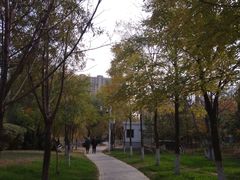 -前关湿地公园