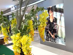 -北京华联购物中心(同成街店)