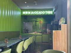 -油梨树AVOCADO TREE(顺义新国展店)