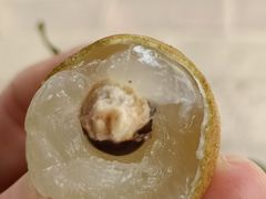 -从化深英荔枝黄皮龙眼采摘园