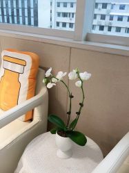 -广东韩妃整形外科医院