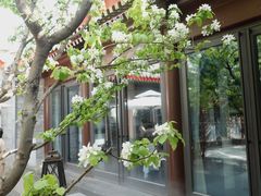 景观位-京兆尹(雍和宫店)