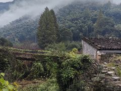 -鹿亭中村
