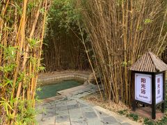 -森波拉火山温泉