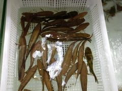 -沙田台山海鲜·酣客酒窖