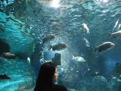 -福州罗源湾海洋世界旅游区