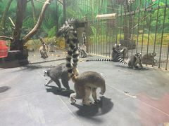 -西安秦岭野生动物园