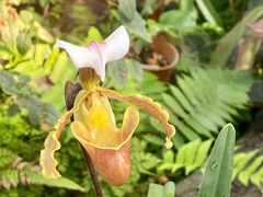 -国家植物园南园