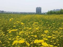 -天河儿童公园