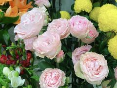 -Flower in(密渡桥店)