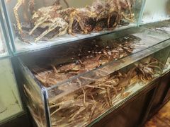 -樱之盛宴·蟹料理海鲜自助(前进大街店)