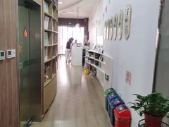 -常青藤国际象棋(新奥店)