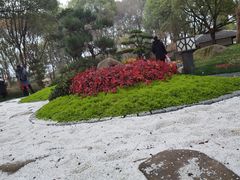 -新洲生态园