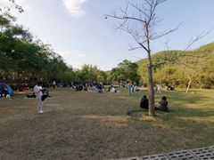 -大屏嶂森林公园
