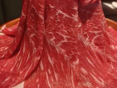-牛New寿喜烧(金鹰世界店)
