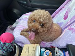 -三盛楼饭店(四流中路店)