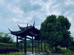 -帐篷客·溪龙茶谷度假酒店