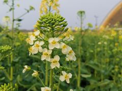 -中国天府农业博览园