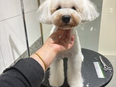 -帕帕拉兹宠物(亚洲旗舰店)