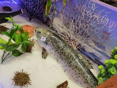 -文三酒肆自助放题(新街口友谊广场店)