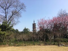 -上海市龙华烈士陵园