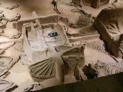 -洛阳周王城天子驾六博物馆