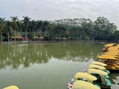 -揭东万竹园旅游景区