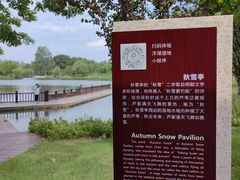 -洋湖国家湿地公园
