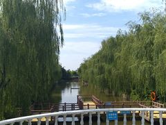 -百万葵园