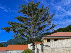 -秦岭风景区