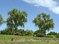 -洨河生态公园