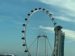 -新加坡摩天观景轮