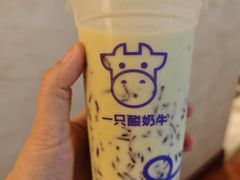 -一只酸奶牛(八一路店)