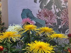 -北京十三陵国家森林公园蟒山景区