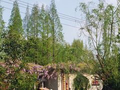 -郑和公园