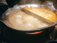 台式麻辣花胶鸡鸳鸯锅-湊湊火锅·茶憩(世博大道店)