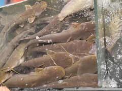 -新珠城鱼坊(龙湖店)