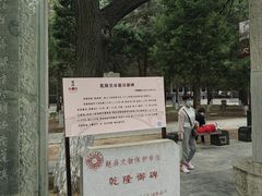 -赵州桥景区