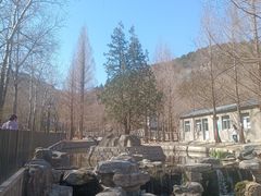 -白水寺森林公园