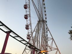 游乐设施-圣都乐园