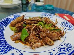 皮皮虾-旺角小渔村(幸福中路店)