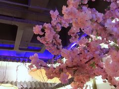 -淀里船宴(裕华东路店)